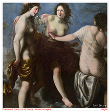 Rubens Polito Dipinti Venere Adone Venus